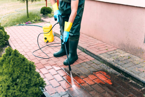 Best Dumpster Area Cleaning  in Lake Isabella, CA