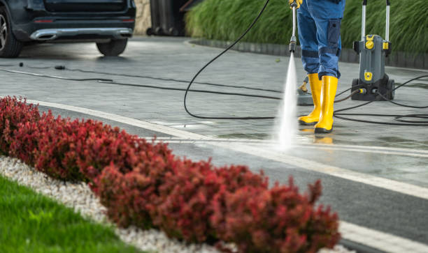 Best House Exterior Washing  in Lake Isabella, CA